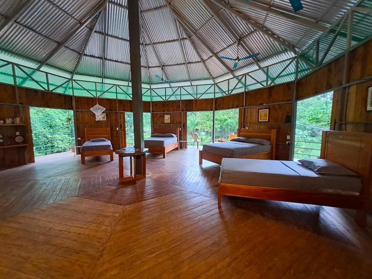 La Amapola Lodge, Bungalow En Peninsula De Osa. Barrigones Bagian luar foto